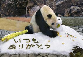 Father's Day gift for giant panda Eimei