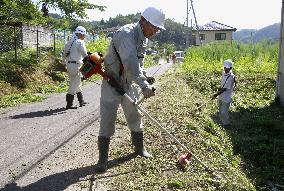 Fukushima decontamination