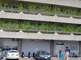 'Green curtain' on city hall