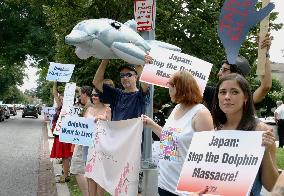 Anti-dolphin hunt rally in U.S.