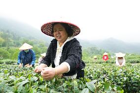 Xinhua Headlines: China's mountainous areas explore new ways to generate wealth through green assets