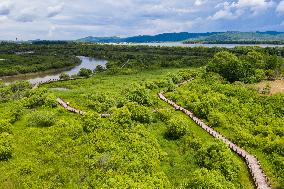 CHINA-HEILONGJIANG-WUSULI RIVER-SCENERY (CN)