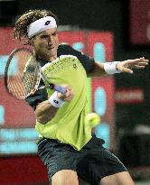 Ferrer advances to semifinals at Japan Open