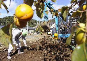 Decontamination work in Fukushima