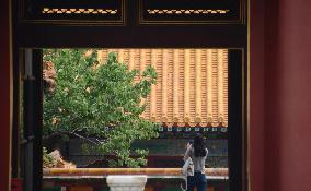 CHINA-BEIJING-PALACE MUSEUM-VISITORS (CN)