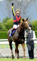 Orfevre becomes 7th Japanese Triple Crown champion