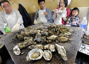 All-you-can-eat oyster restaurant reopens