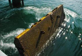 Remote-controlled breakwater