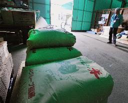 Cesium-tainted rice from Fukushima