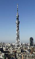 Tokyo Sky Tree is world's tallest tower: Guinness World Records
