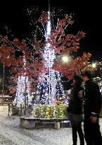 Christmas illuminations in disaster-hit Miyako