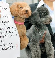 Toy poodles authorized as police dogs