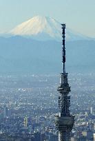 Tokyo Sky Tree and Mt. Fuji