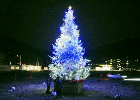Christmas tree in tsunami-hit Ofunato