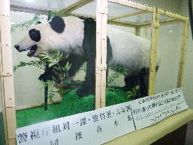 Confiscated stuffed giant panda