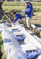 Radiation decontamination experiment in Fukushima Pref.