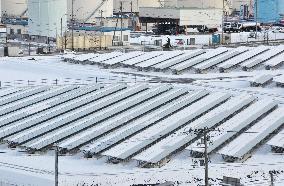 Tohoku Electric launches mega-solar power plant