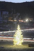 Christmas tree in disaster-hit Minamisanriku