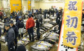 Year's 1st tuna auction at Tsukiji market