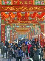 Spring Festival in China