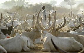 Nomad in S. Sudan