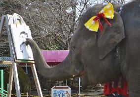Elephant in Chiba Pref. zoo draws picture