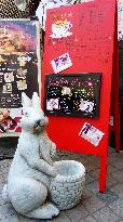 Rabbit cafe in Tokyo