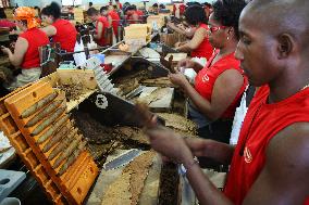 Cuban cigar factory