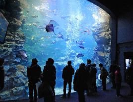 Kyoto Aquarium opens