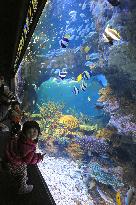 Kyoto Aquarium opens