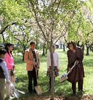 Michelle Obama plants cherry tree
