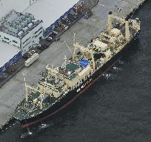 Whaling fleet returns home