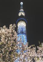 Tokyo Sky Tree fully lit up