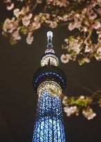 Tokyo Sky Tree fully lit up