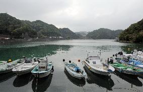 'Whale farm' project under way in Taiji
