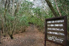 Japan's notorious suicide site near Mt. Fuji