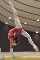 Tsurumi earns ticket to London Olympics