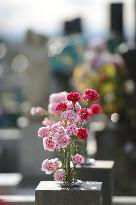 Carnations on gravestone