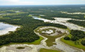 Pantanal wetlands