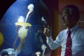 "Jellyfish aquarium" in Yamagata