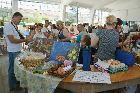 Crisis-hit Greeks turn to barter currency