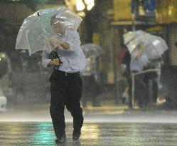 Typhoon hits Japan