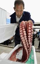Fukushima seafood on trial sale