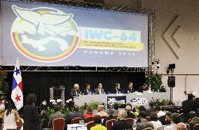 IWC meeting in Panama
