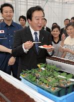 Noda visits tsunami-hit area