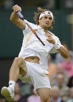 Ferrer advances to quarterfinals at Wimbledon