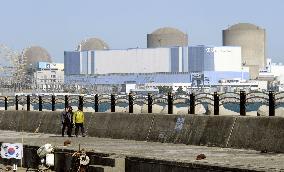 S. Korea nuclear plant gets green light to resume operation