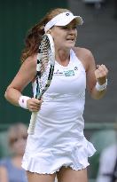 Radwanska advances to final at Wimbledon
