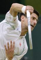 Djokovic defeated by Federer at Wimbledon