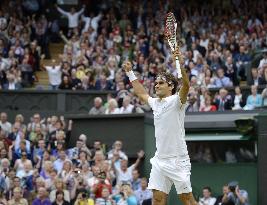 Federer advances to final at Wimbledon